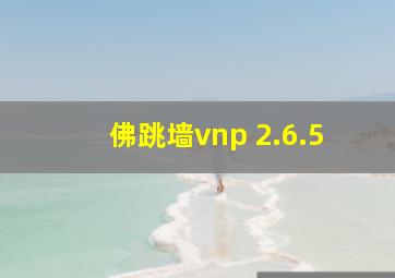 佛跳墙vnp 2.6.5